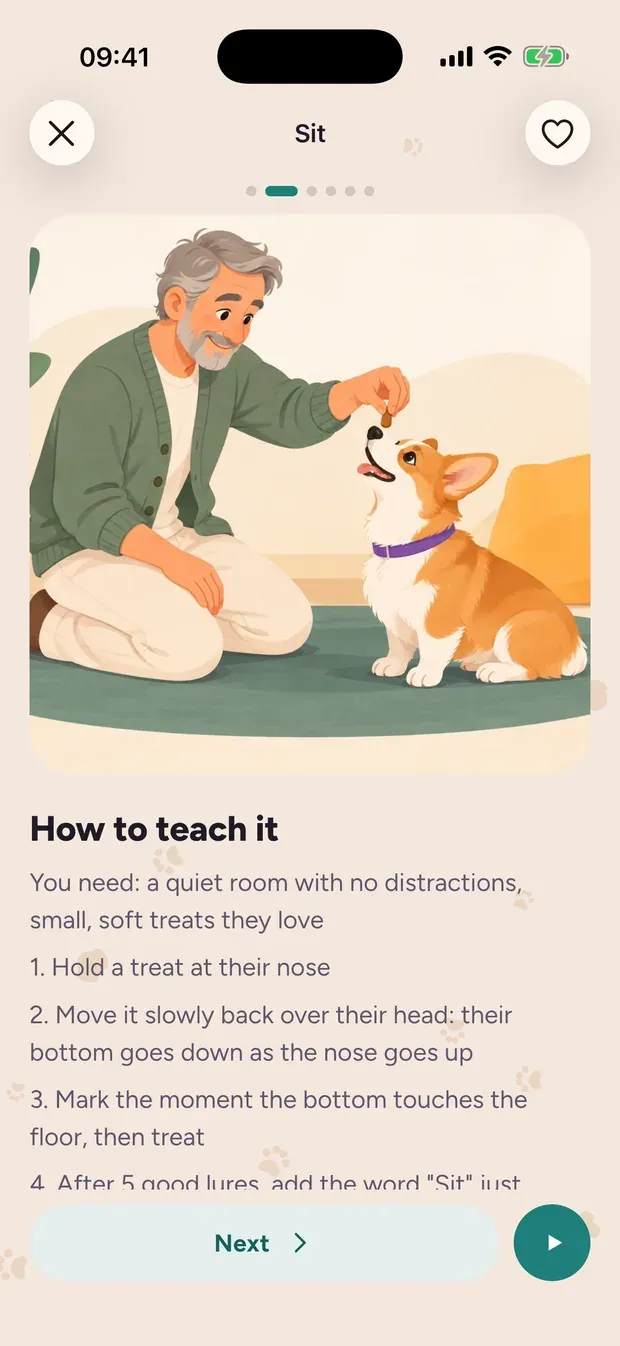 A step by step lesson for Sit